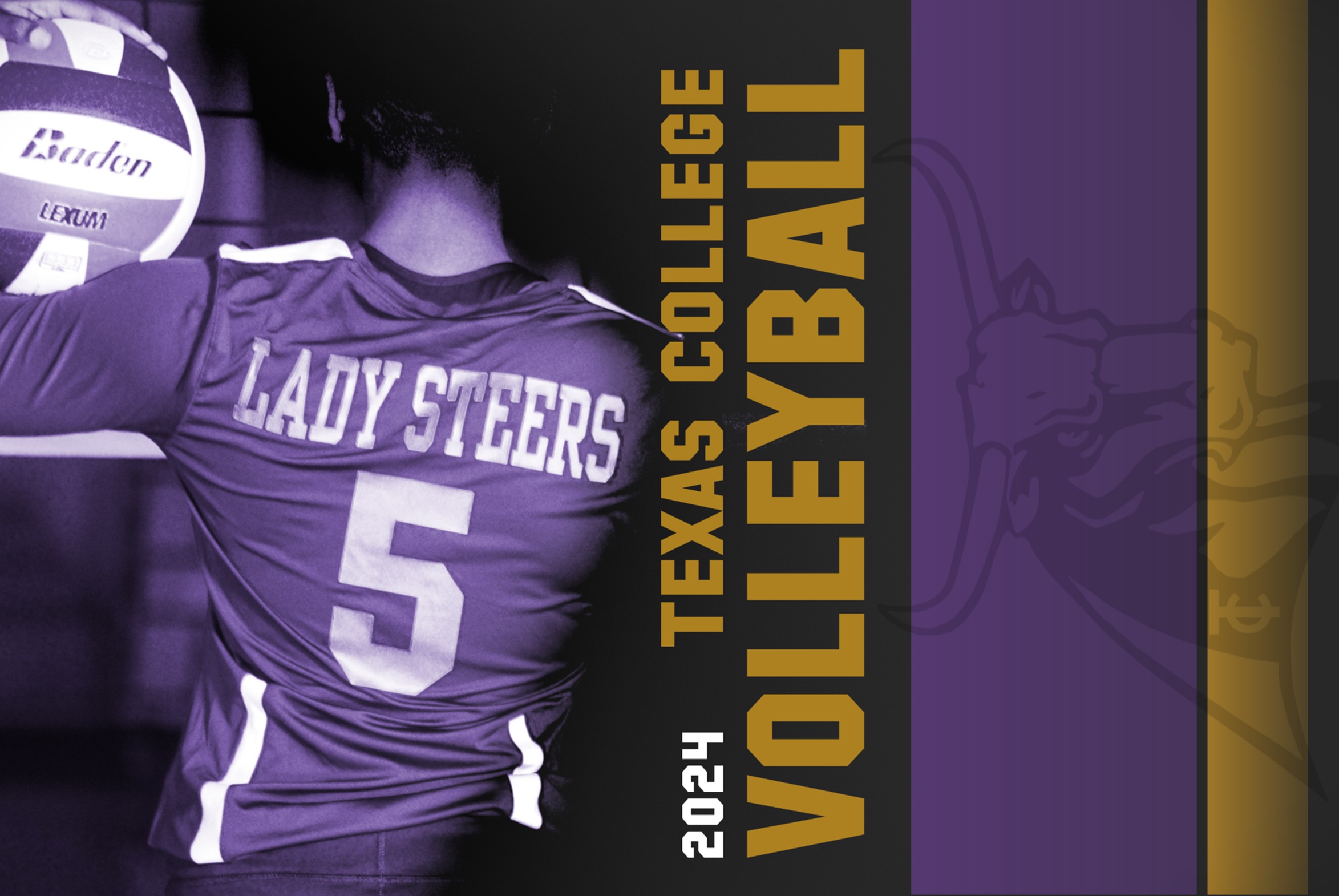 2024 Texas College Volleyball Schedule
