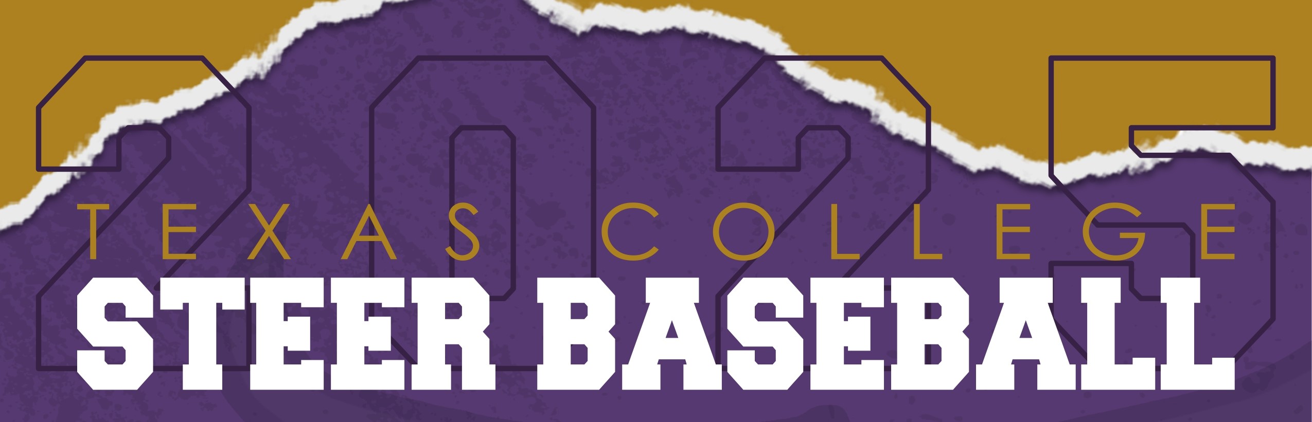 2025 Baseball Schedule